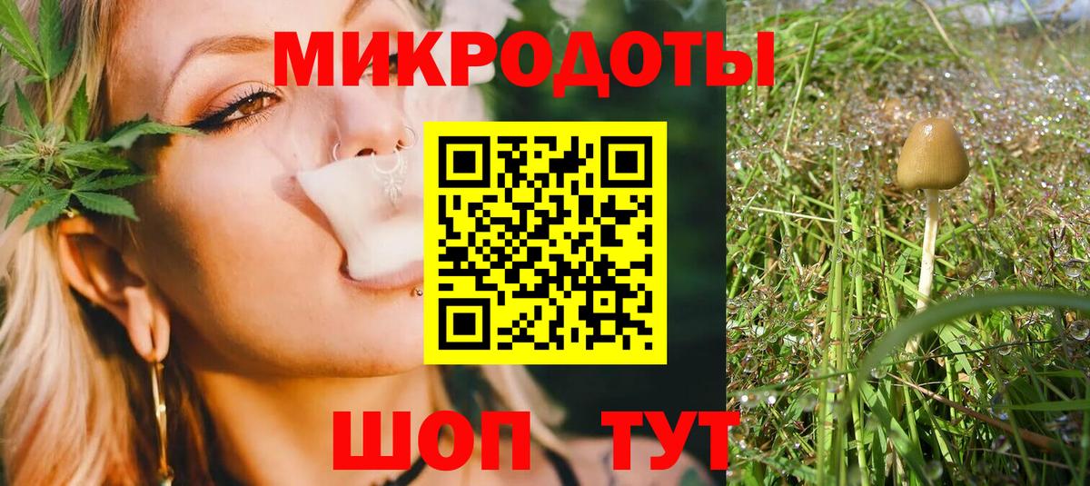 Псилоцибиновые грибы Psilocybine cubensis Обь